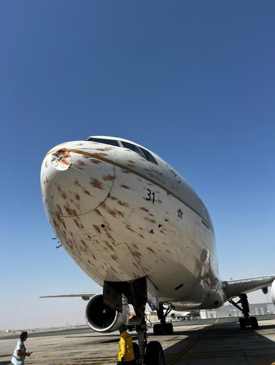 המטוס לאחר ההתנגשות בלהקת הציפורים