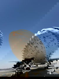 המטוס לאחר ההתנגשות בלהקת הציפורים