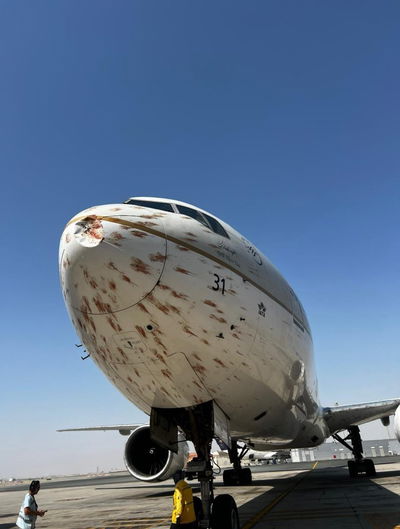 המטוס לאחר ההתנגשות בלהקת הציפורים