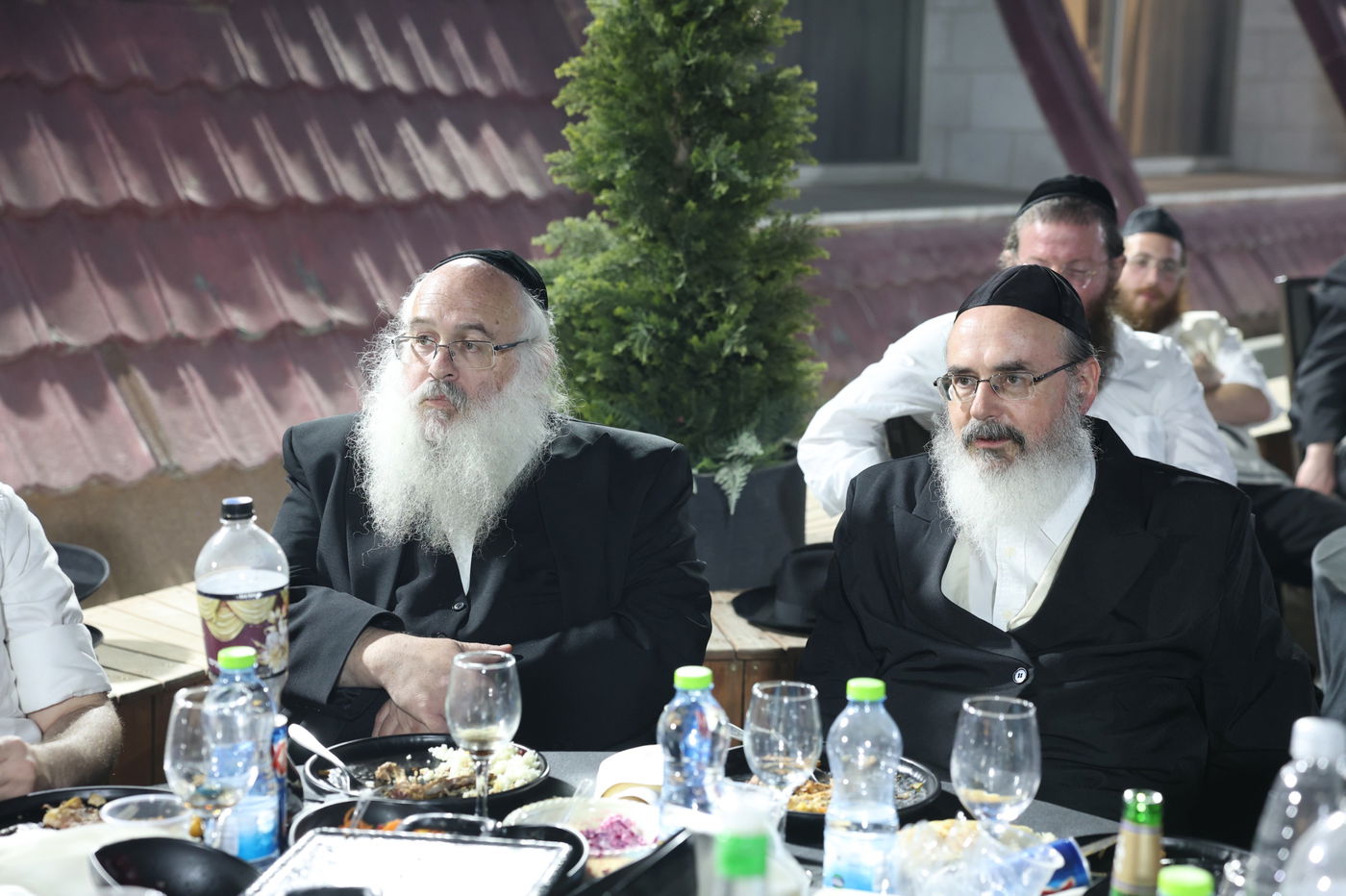 זה לצד זה: חסידים וליטאים, אשכנזים וספרדים, רקדו לצלילי הזמר הבדואי 