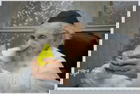 הגאון רבי דב לנדו בבדיקת אתרוגים