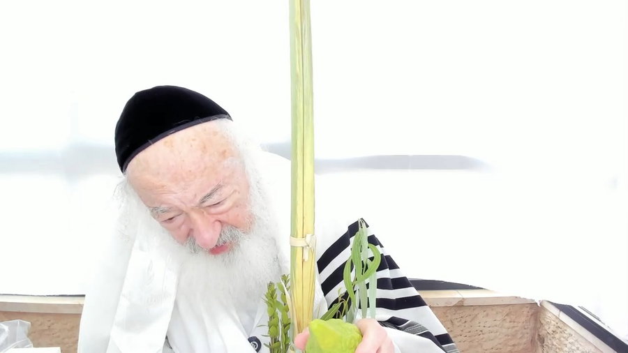 הרב יעקב דוד סטפנסקי בשיעור על מסכת חולין