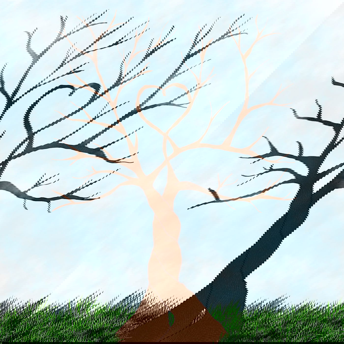 זוגיות אילוסטרציה