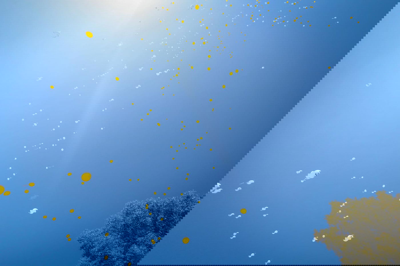 עצרת המחאה של ילדי 'עטרת שלמה' מול כלא 10