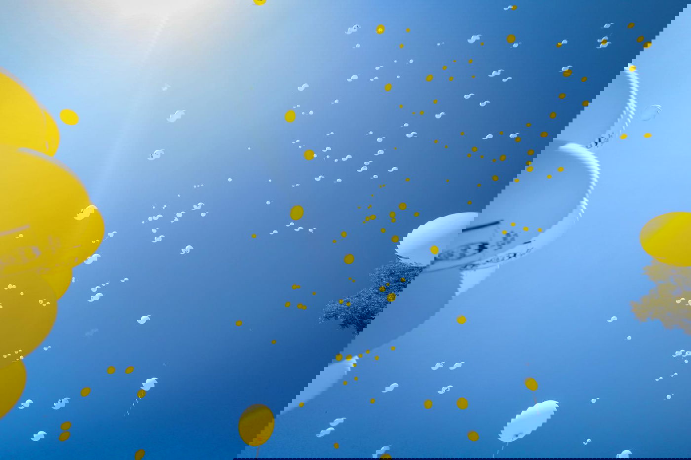 עצרת המחאה של ילדי 'עטרת שלמה' מול כלא 10