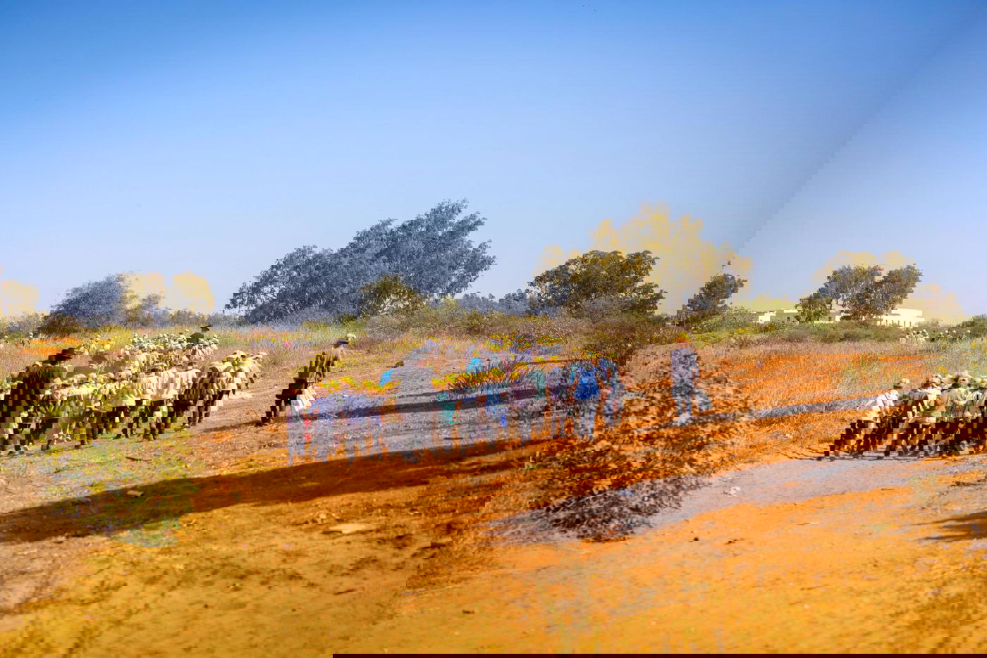 עצרת המחאה של ילדי 'עטרת שלמה' מול כלא 10