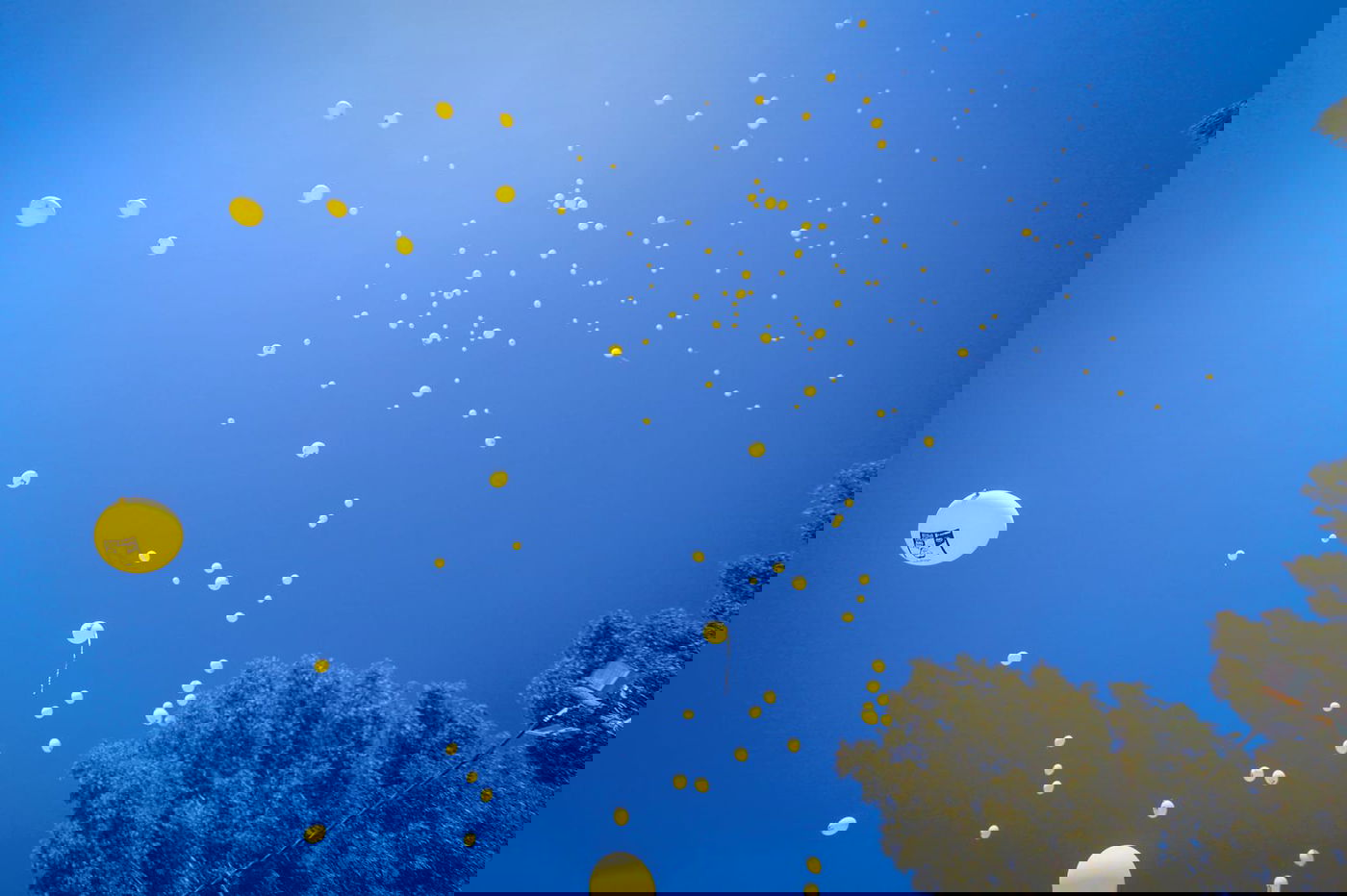 עצרת המחאה של ילדי 'עטרת שלמה' מול כלא 10