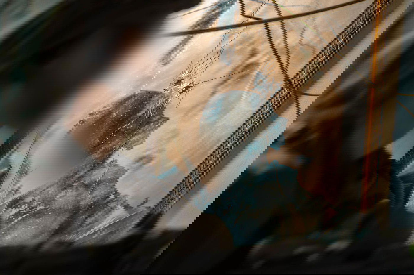 פעילות כוחות צה"ל ברצועת עזה במהלך השנתיים האחרונות