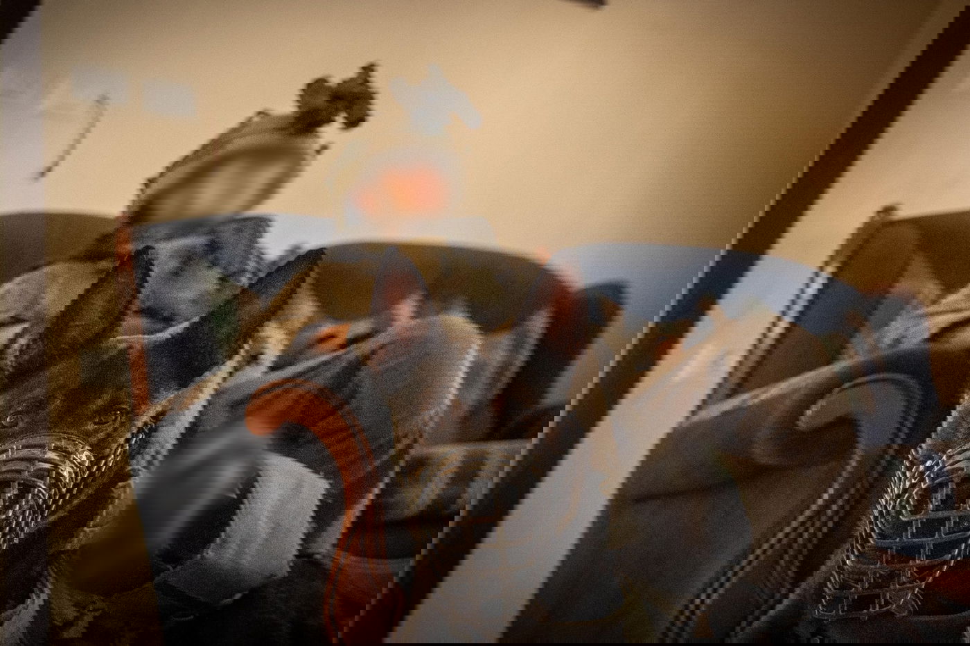 פעילות כוחות צה"ל ברצועת עזה במהלך השנתיים האחרונות