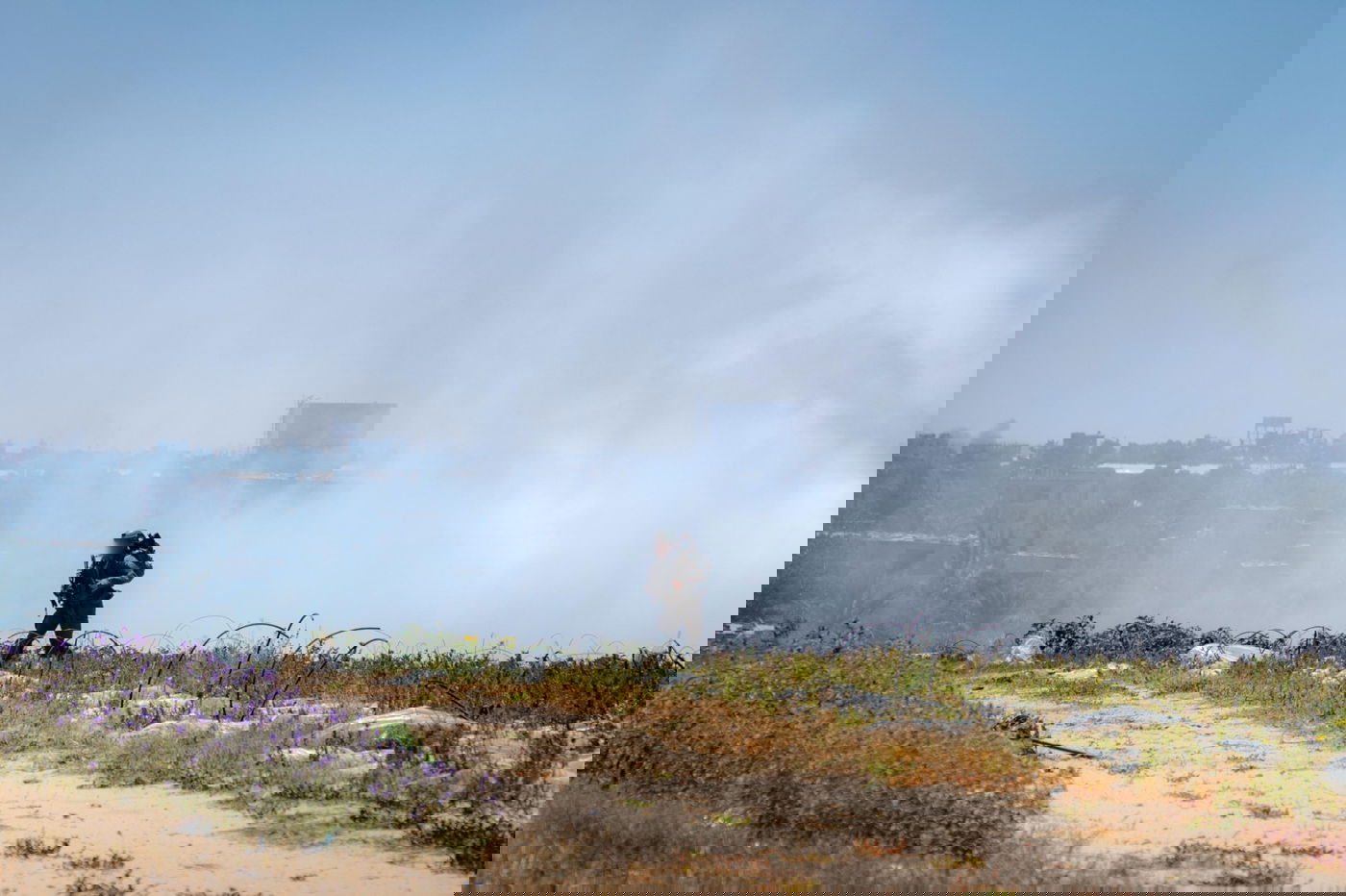 פעילות כוחות צה"ל ברצועת עזה במהלך השנתיים האחרונות