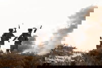 פעילות כוחות צה"ל ברצועה | ארכיון