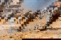 פעילות כוחות צה"ל ברצועת עזה במהלך השנתיים האחרונות