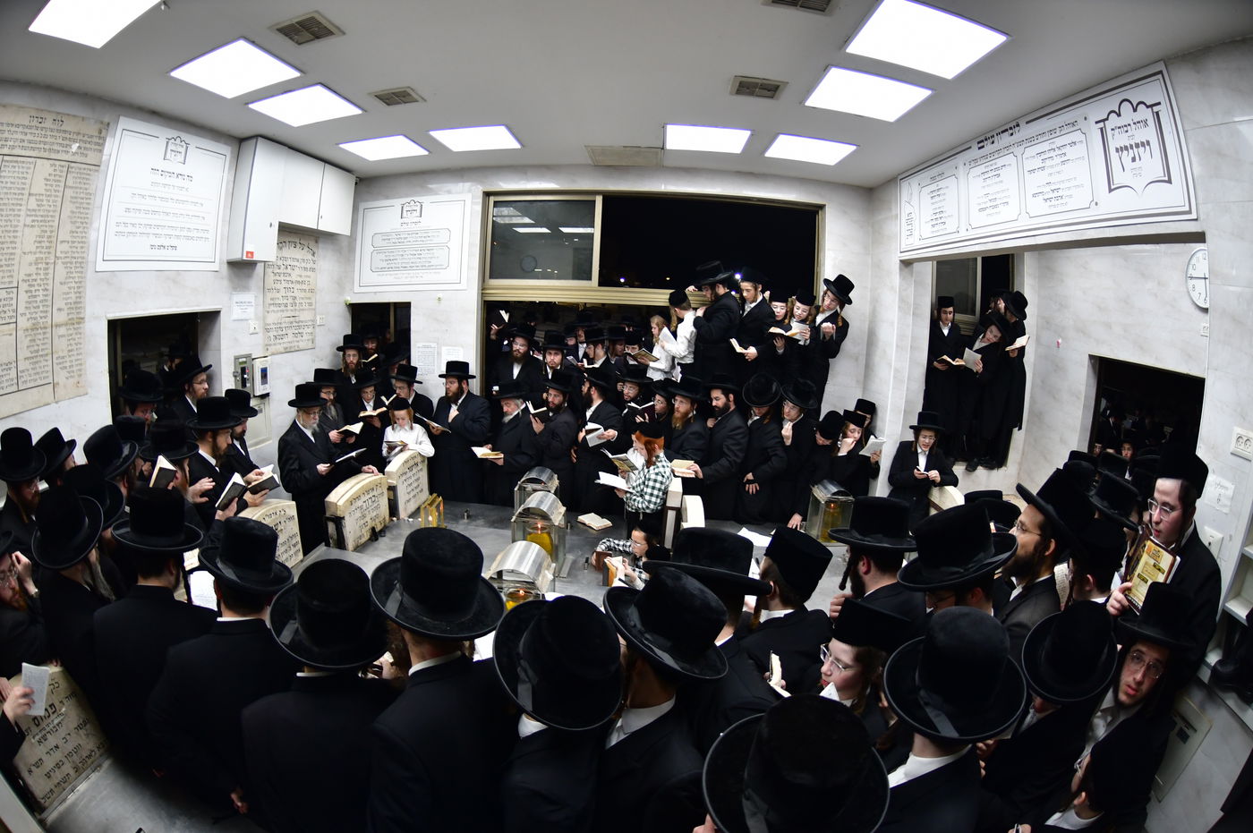 האדמו"ר מסערט ויז'ניץ בתפילה באוהל בית ויז'ניץ