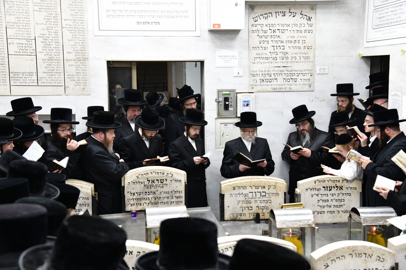 האדמו"ר מסערט ויז'ניץ בתפילה באוהל בית ויז'ניץ