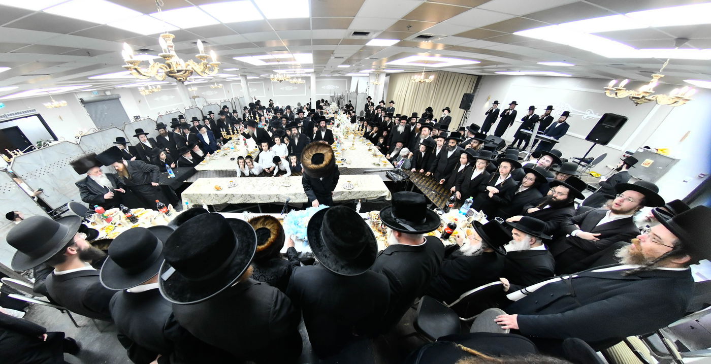 פדיון הבן בחצה"ק מודז'יץ - זוועהיל