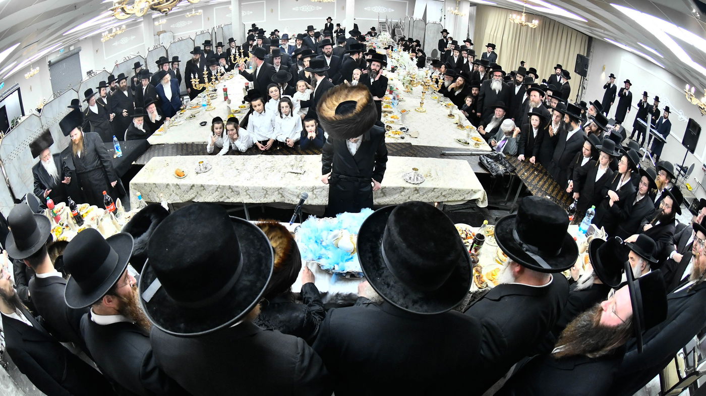 פדיון הבן בחצה"ק מודז'יץ - זוועהיל