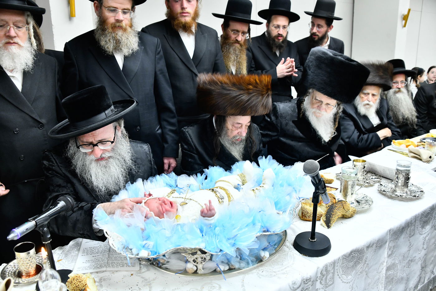 פדיון הבן בחצה"ק מודז'יץ - זוועהיל