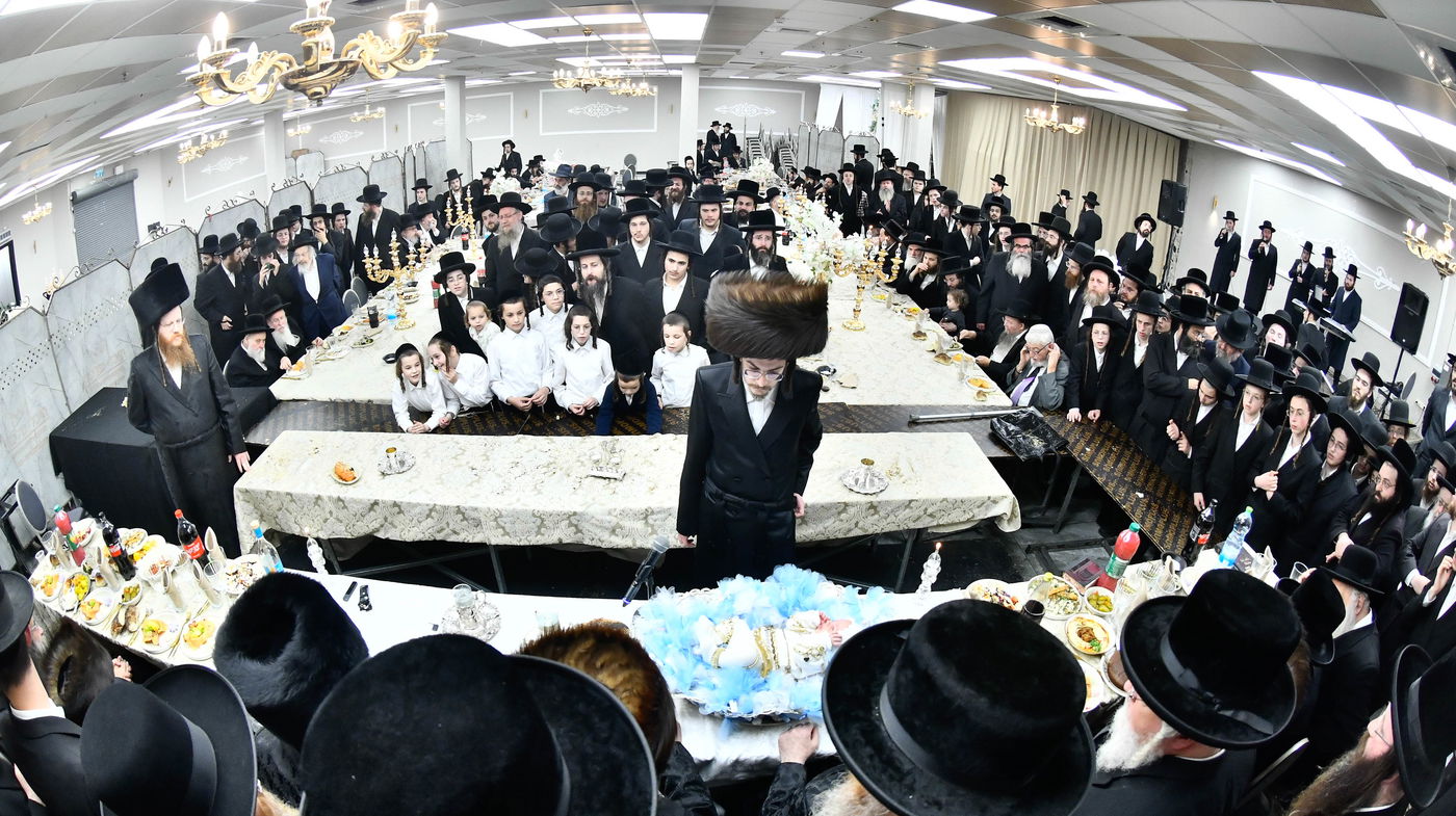 פדיון הבן בחצה"ק מודז'יץ - זוועהיל