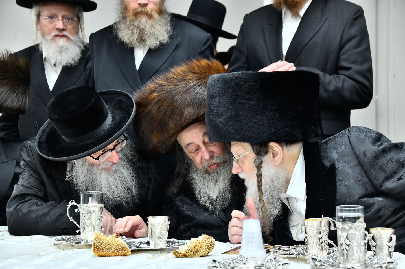 פדיון הבן בחצה"ק מודז'יץ - זוועהיל