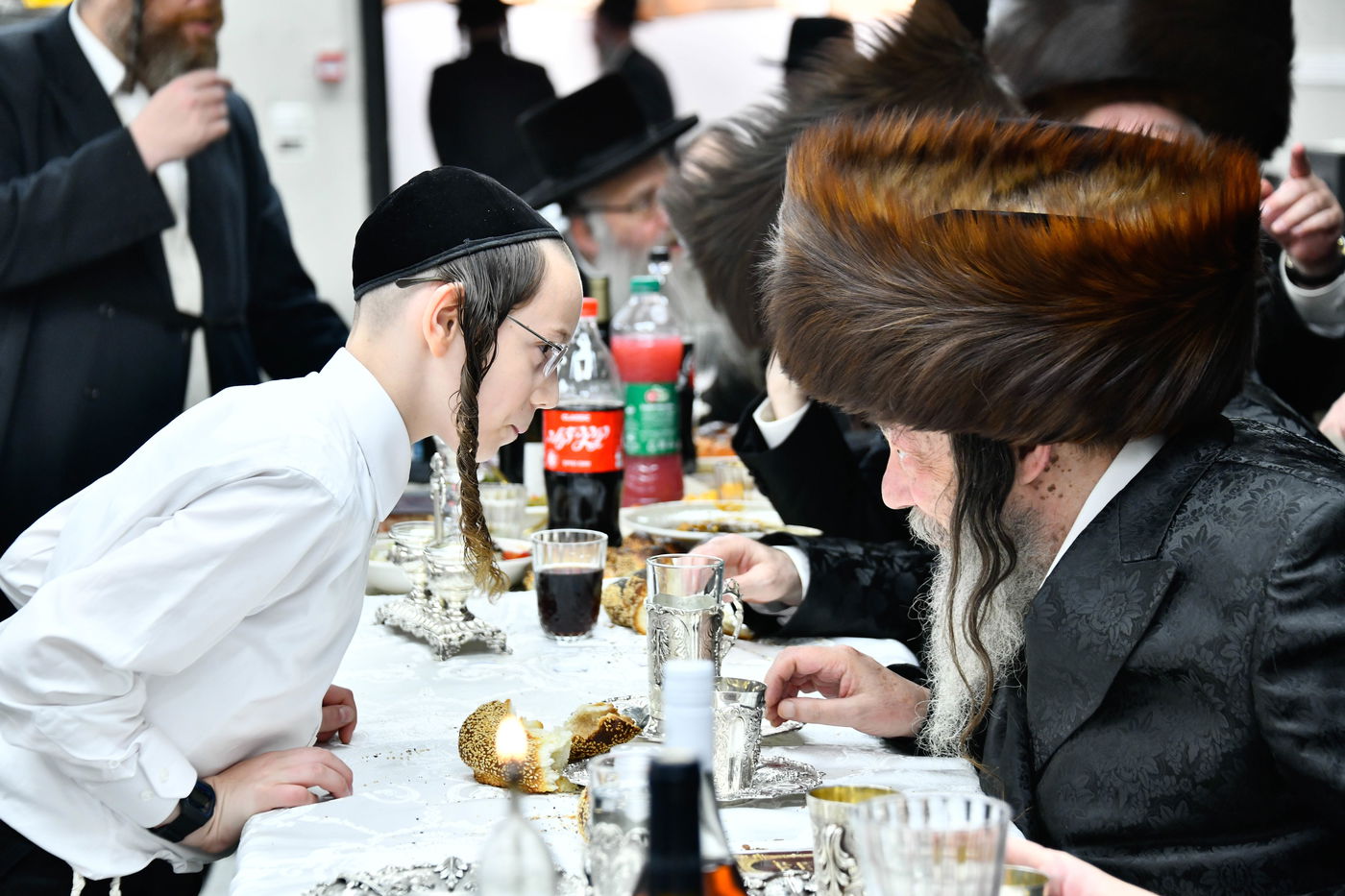 פדיון הבן בחצה"ק מודז'יץ - זוועהיל