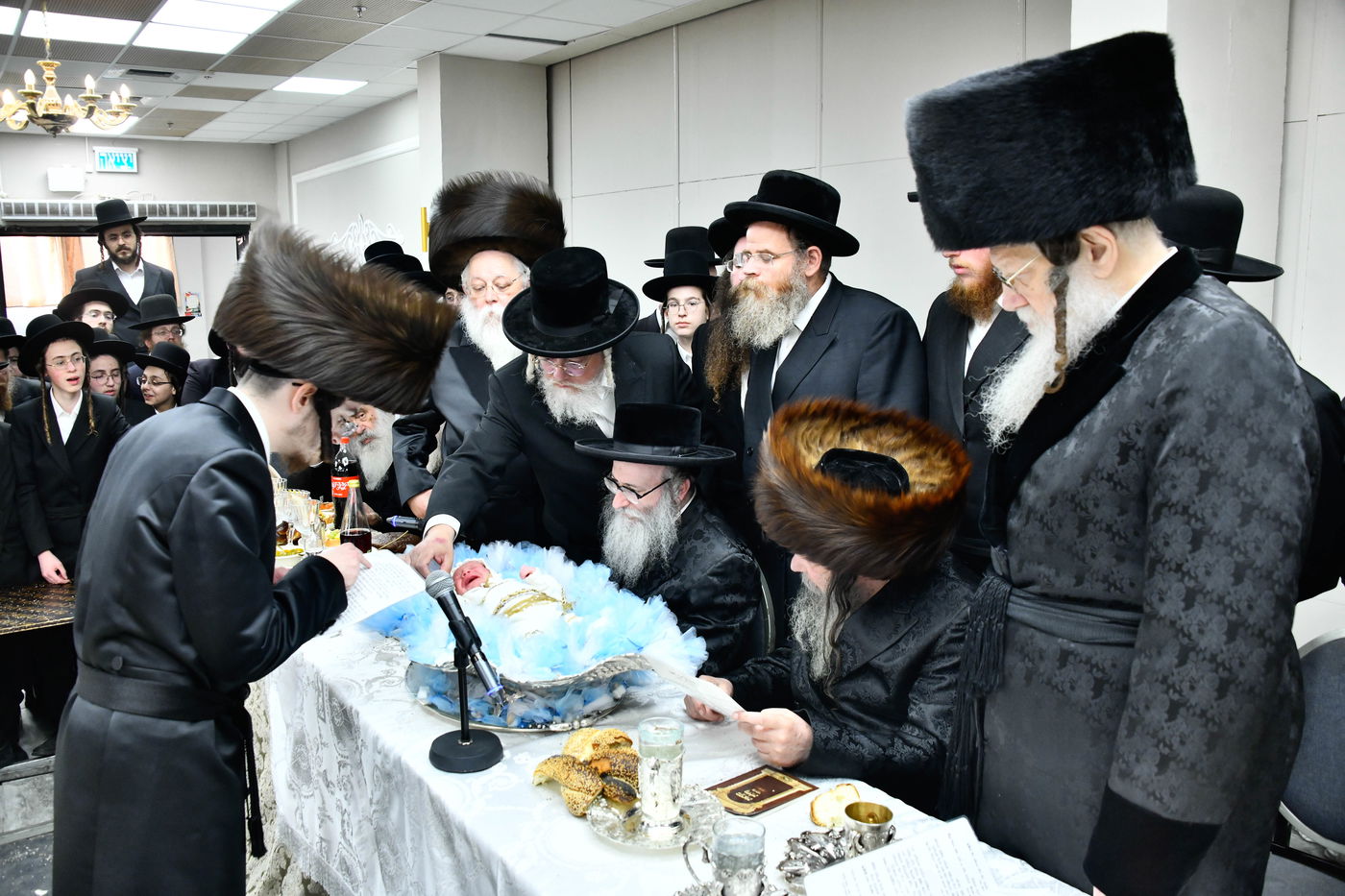 פדיון הבן בחצה"ק מודז'יץ - זוועהיל