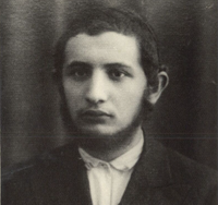 הקדוש בי שלמה דוד יהושע וינברג, מסלונים הי"ד 