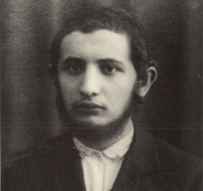 הקדוש בי שלמה דוד יהושע וינברג, מסלונים הי"ד 