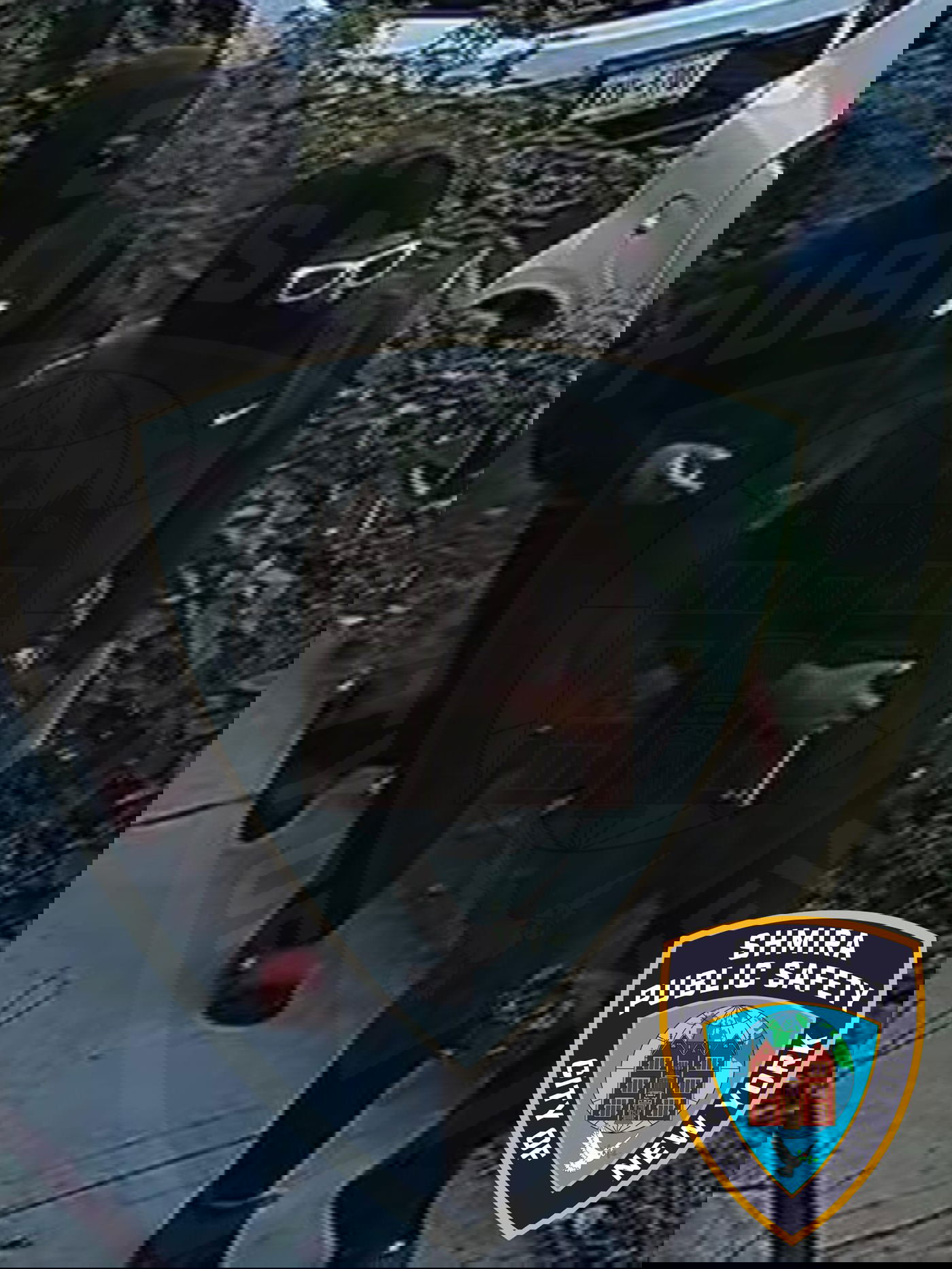 התמונה שפורסמה לאחרונה ממקרה נוסף של שוד דואר בשכונה