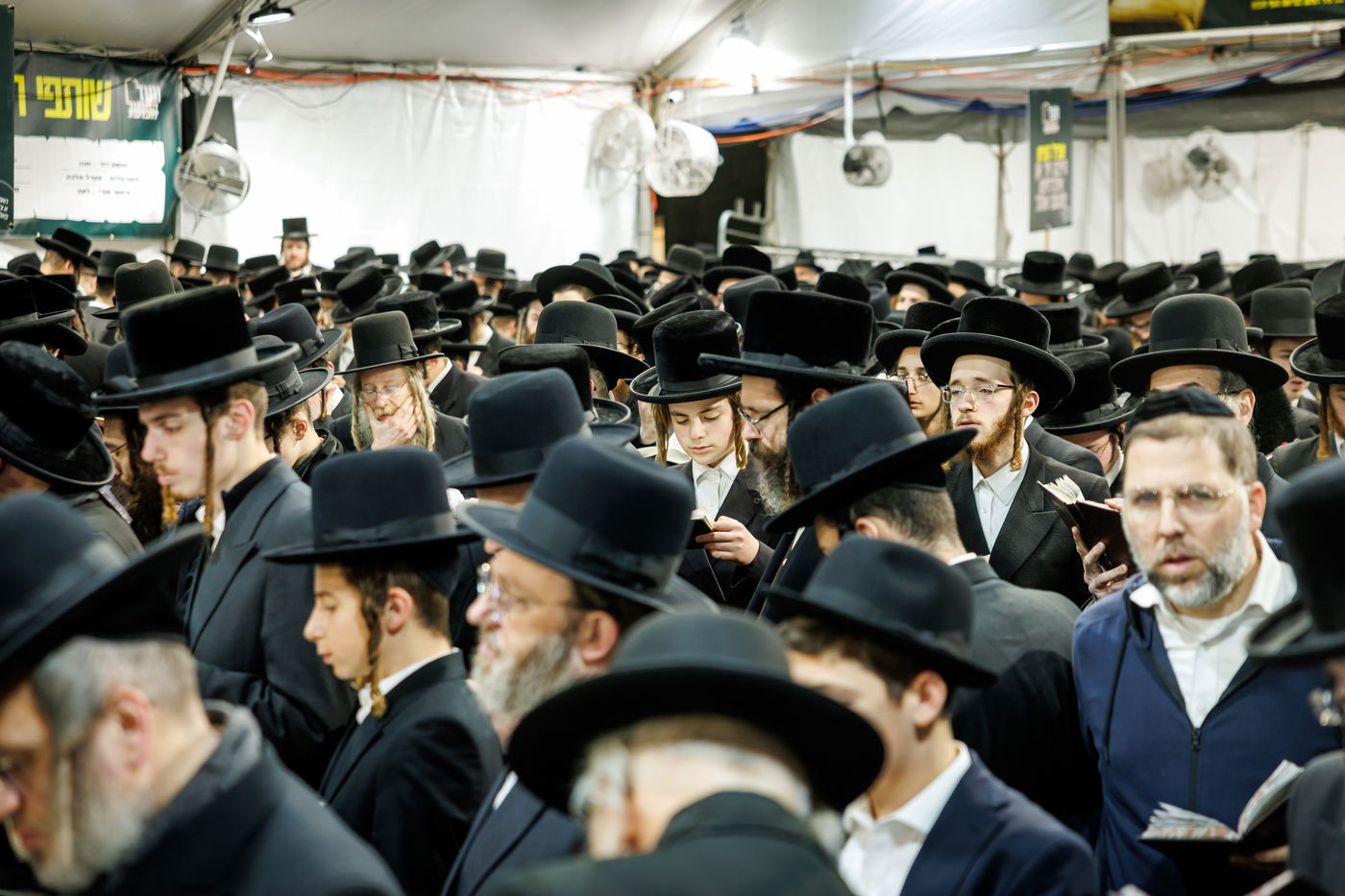 הילולת הרה"ק מריבניץ זי"ע