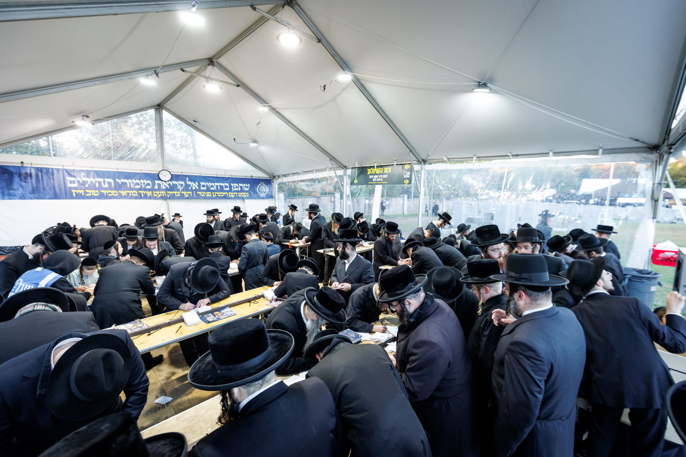 הילולת הרה"ק מריבניץ זי"ע