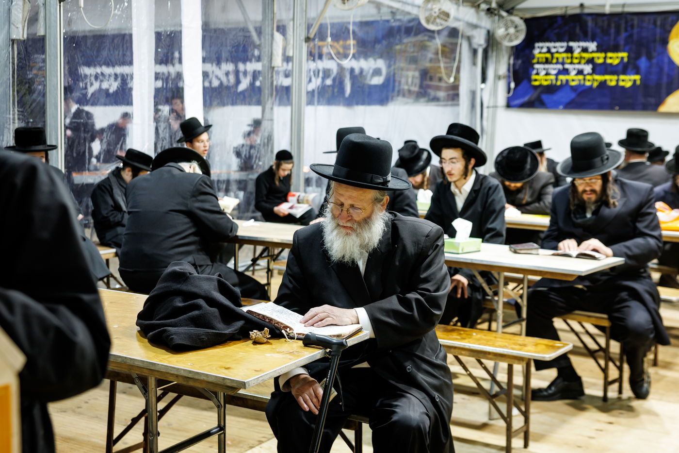 הילולת הרה"ק מריבניץ זי"ע