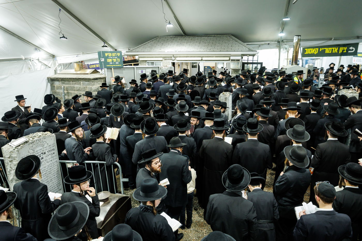 הילולת הרה"ק מריבניץ זי"ע