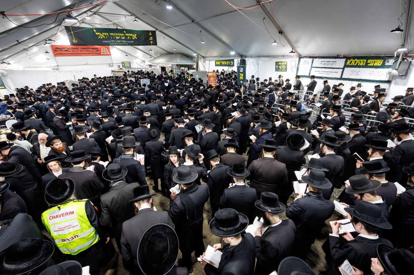 הילולת הרה"ק מריבניץ זי"ע