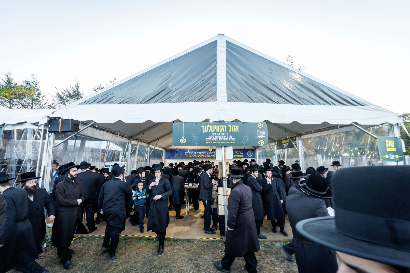 הילולת הרה"ק מריבניץ זי"ע