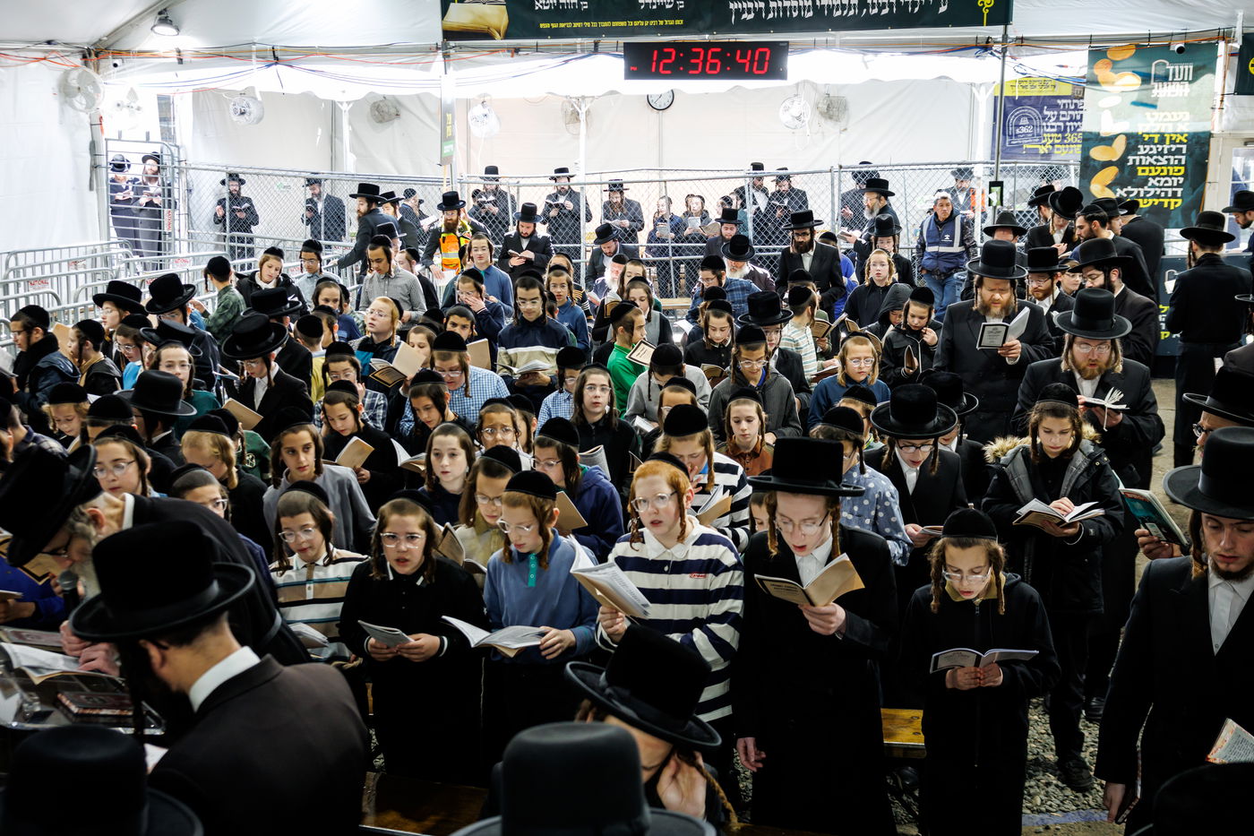 הילולת הרה"ק מריבניץ זי"ע