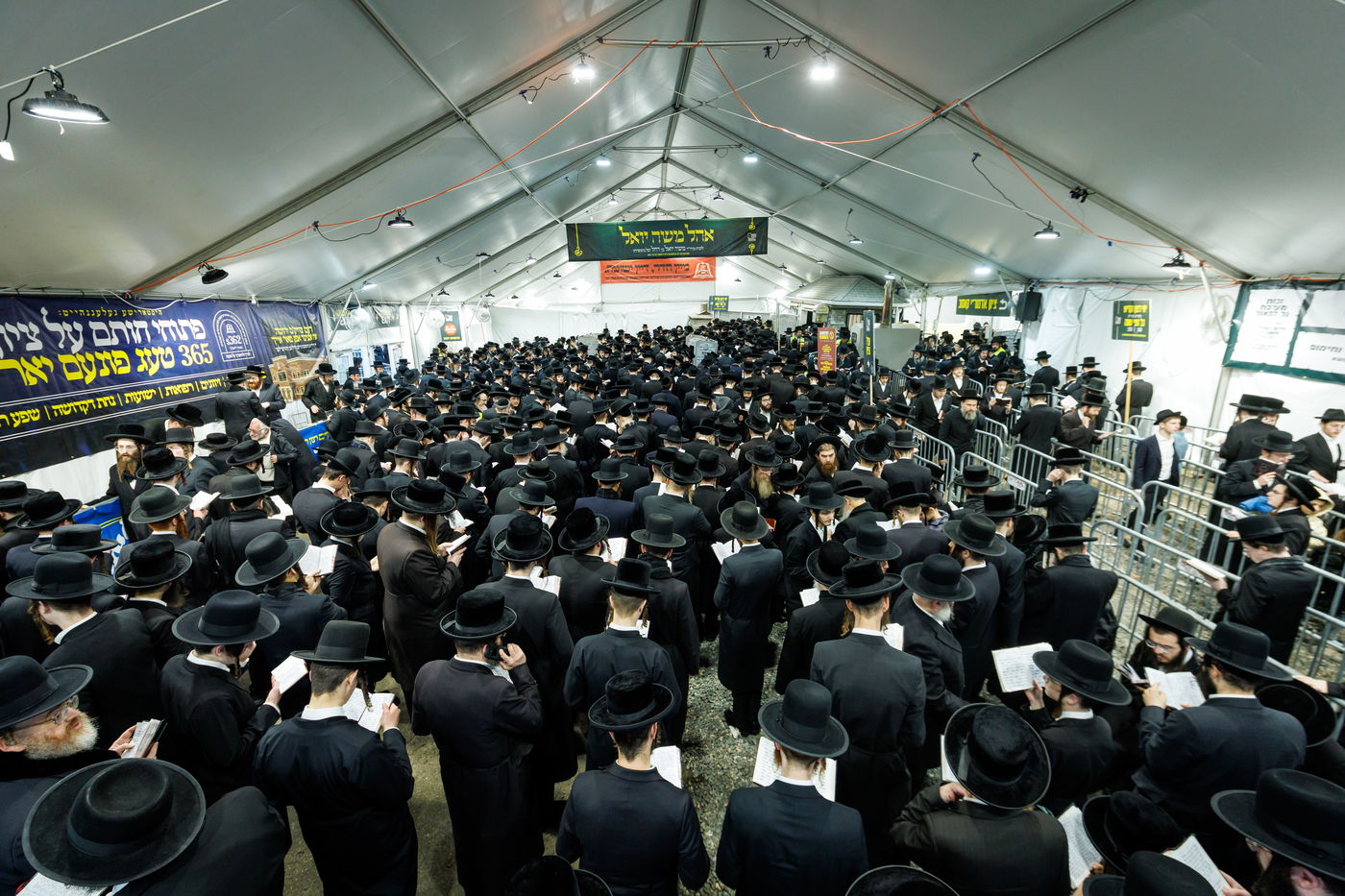 הילולת הרה"ק מריבניץ זי"ע