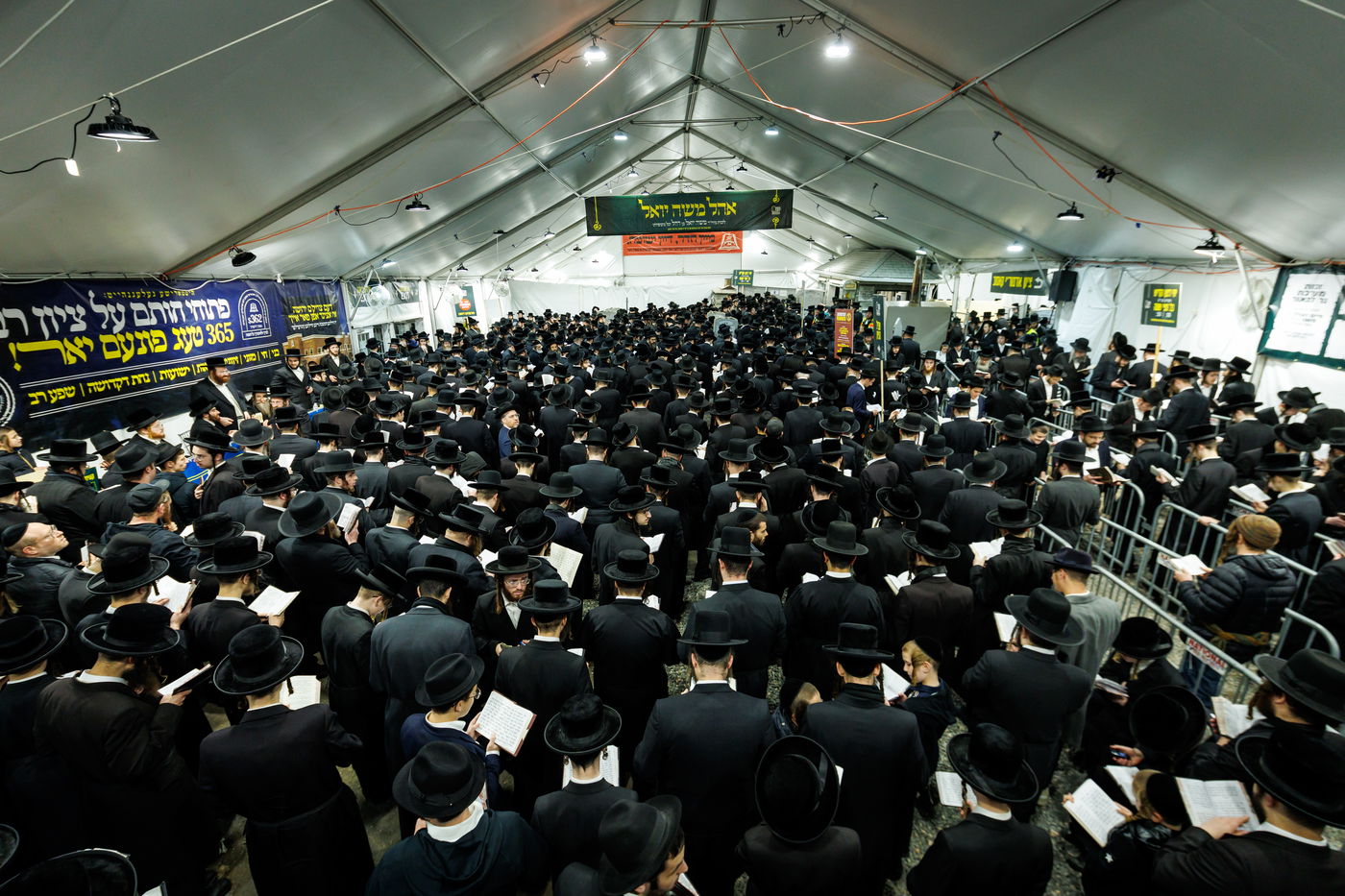 הילולת הרה"ק מריבניץ זי"ע