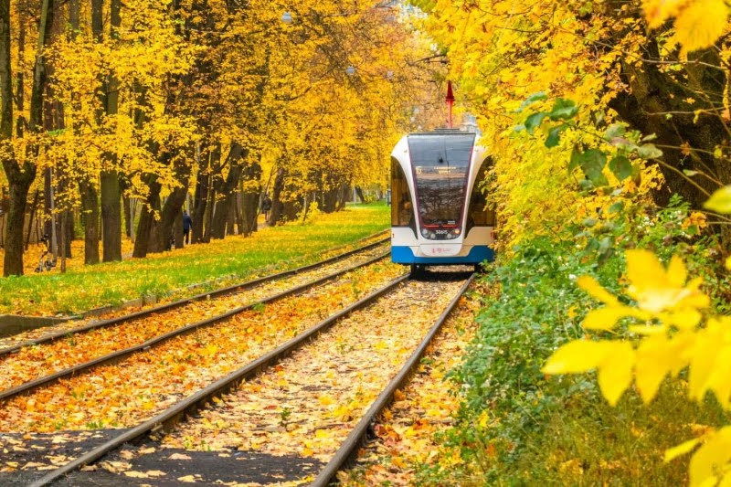 ה"סתיו הזהב" בפארק הרוסי הענק