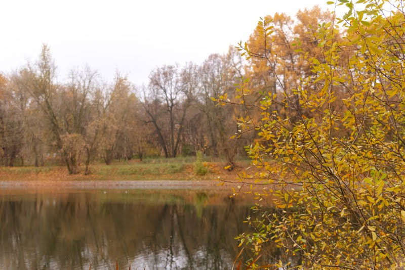 ה"סתיו הזהב" בפארק הרוסי הענק