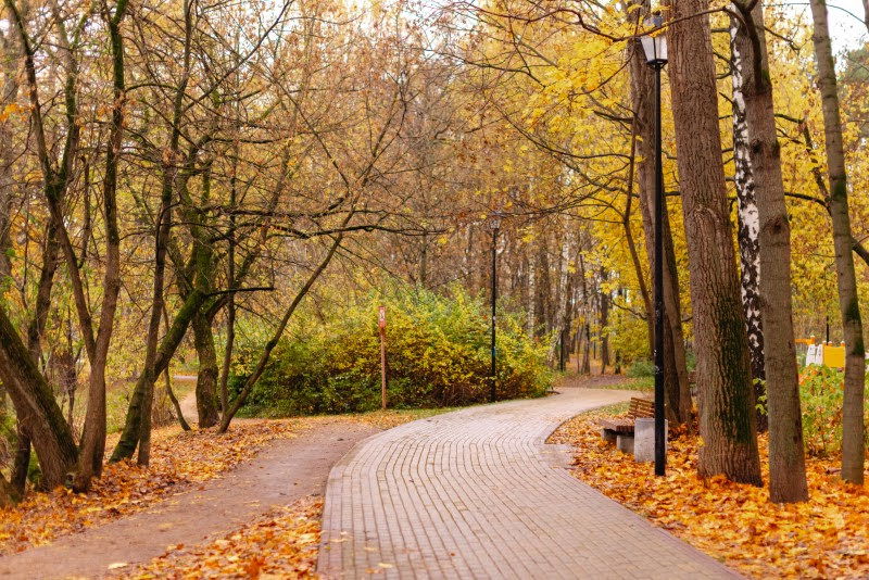 ה"סתיו הזהב" בפארק הרוסי הענק