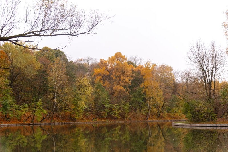 ה"סתיו הזהב" בפארק הרוסי הענק