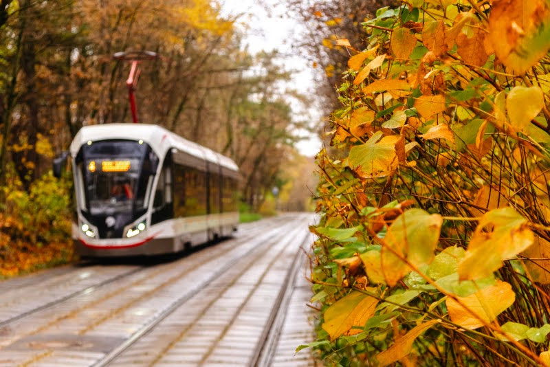ה"סתיו הזהב" בפארק הרוסי הענק