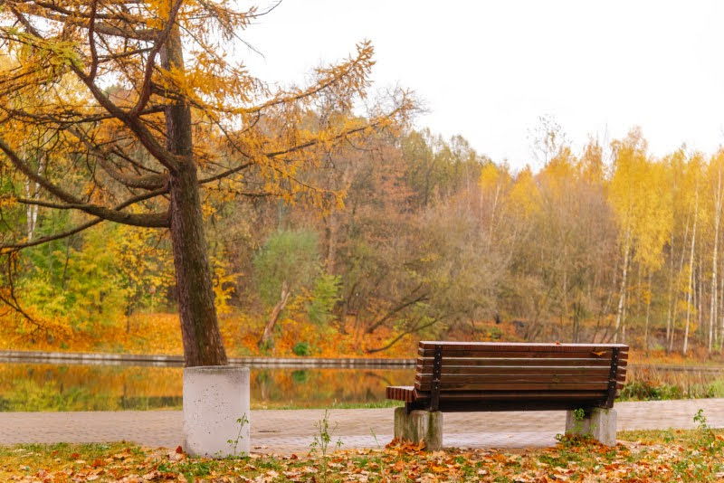 ה"סתיו הזהב" בפארק הרוסי הענק
