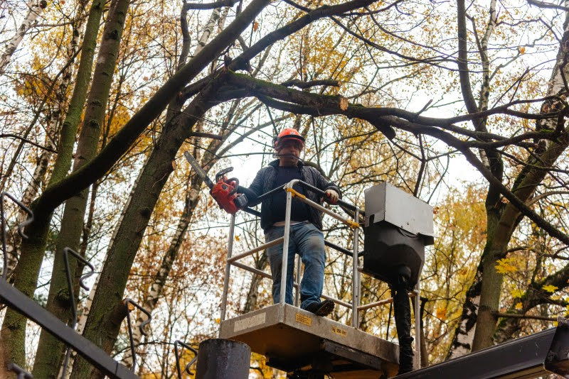 ה"סתיו הזהב" בפארק הרוסי הענק