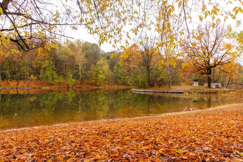 ה"סתיו הזהב" בפארק הרוסי הענק