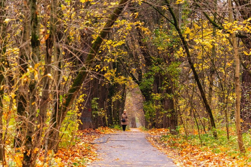 ה"סתיו הזהב" בפארק הרוסי הענק