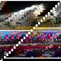 גולדרס גרין פינת רוז'ין | המעמד האדיר שאיחד את כל רבני אירופה