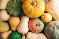 ירקות ממשפחת הדלועים