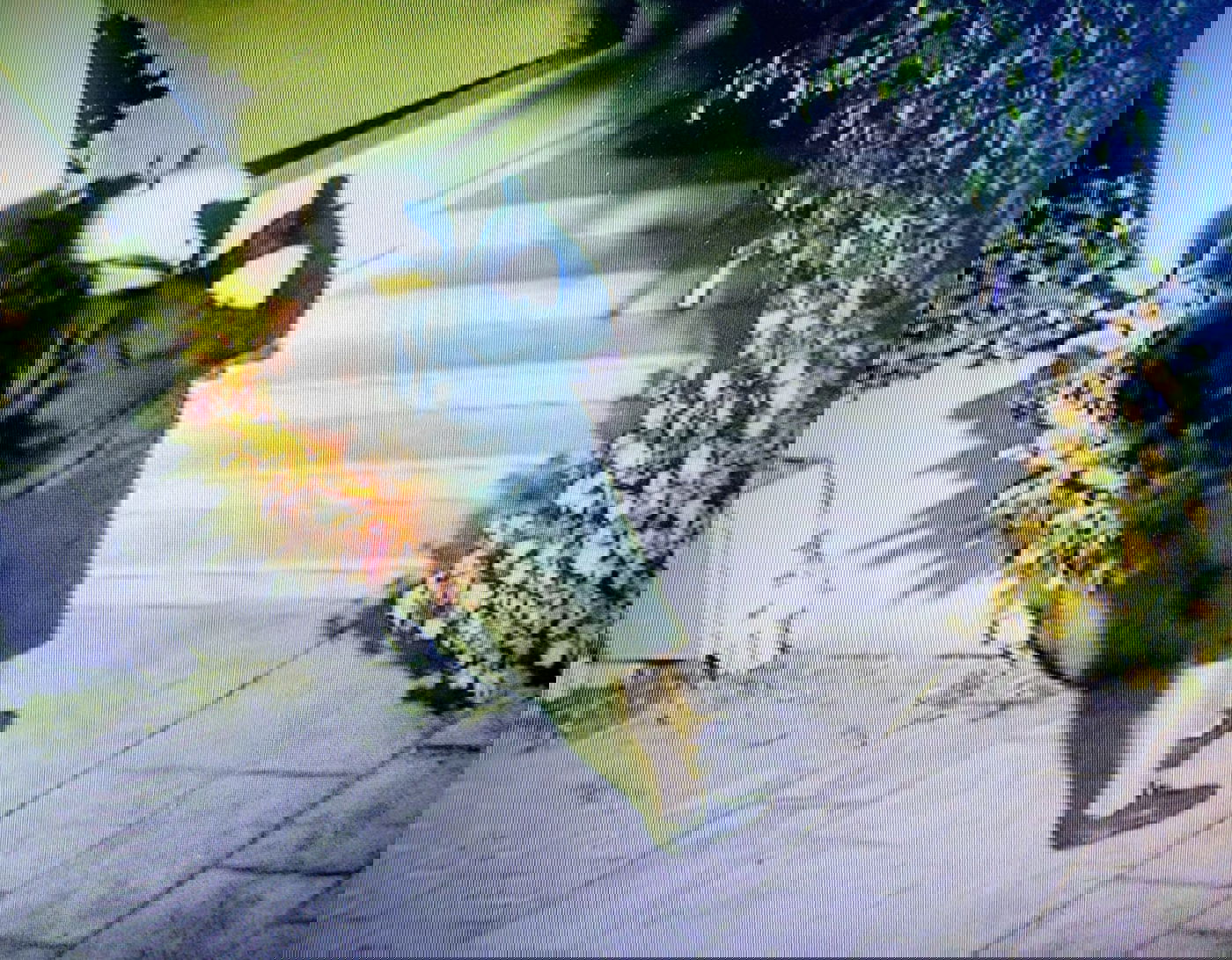 אחד ממקרי ההצתה