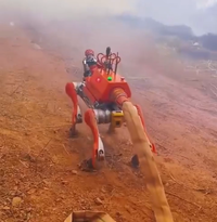 הרובוט בפעולה